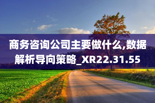 商务咨询公司主要做什么,数据解析导向策略_XR22.31.55