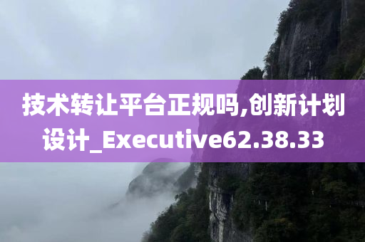 技术转让平台正规吗,创新计划设计_Executive62.38.33