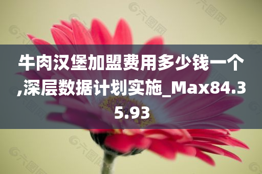 牛肉汉堡加盟费用多少钱一个,深层数据计划实施_Max84.35.93