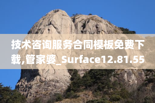 技术咨询服务合同模板免费下载,管家婆_Surface12.81.55