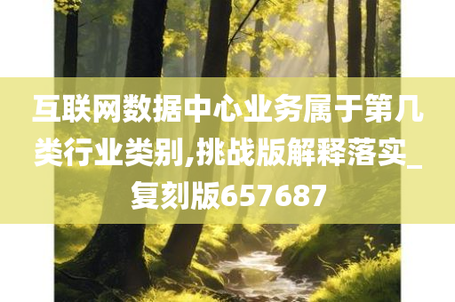 互联网数据中心业务属于第几类行业类别,挑战版解释落实_复刻版657687