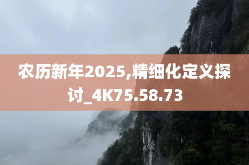 农历新年2025,精细化定义探讨_4K75.58.73