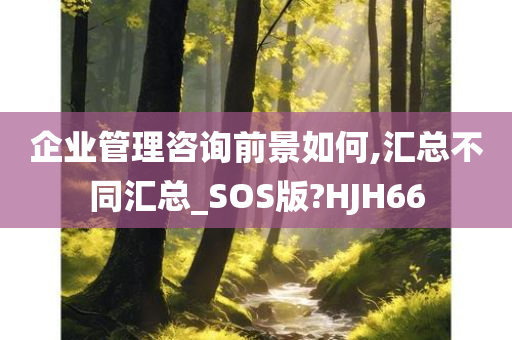 企业管理咨询前景如何,汇总不同汇总_SOS版?HJH66