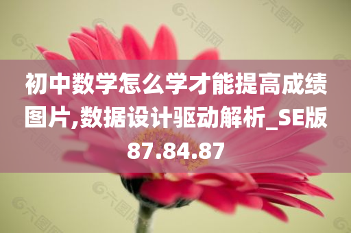 初中数学怎么学才能提高成绩图片,数据设计驱动解析_SE版87.84.87