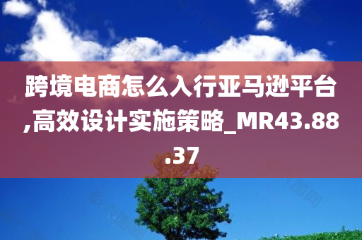 跨境电商怎么入行亚马逊平台,高效设计实施策略_MR43.88.37