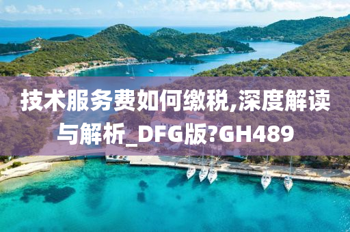 技术服务费如何缴税,深度解读与解析_DFG版?GH489