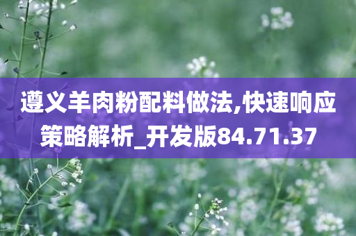 遵义羊肉粉配料做法,快速响应策略解析_开发版84.71.37