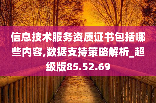 信息技术服务资质证书包括哪些内容,数据支持策略解析_超级版85.52.69