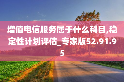 增值电信服务属于什么科目,稳定性计划评估_专家版52.91.95