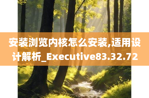 安装浏览内核怎么安装,适用设计解析_Executive83.32.72