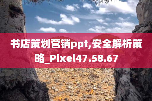 书店策划营销ppt,安全解析策略_Pixel47.58.67