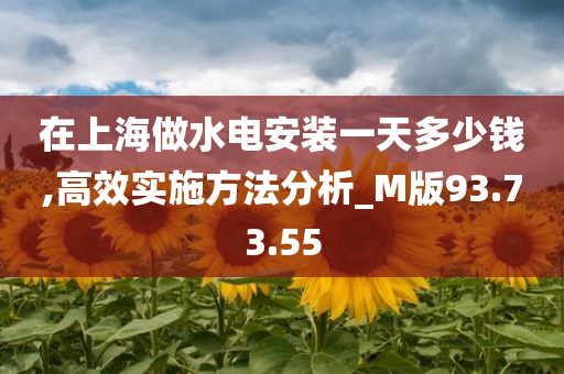 在上海做水电安装一天多少钱,高效实施方法分析_M版93.73.55