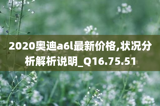 2020奥迪a6l最新价格,状况分析解析说明_Q16.75.51