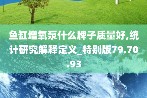 鱼缸增氧泵什么牌子质量好,统计研究解释定义_特别版79.70.93