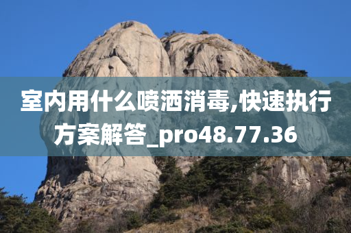 室内用什么喷洒消毒,快速执行方案解答_pro48.77.36