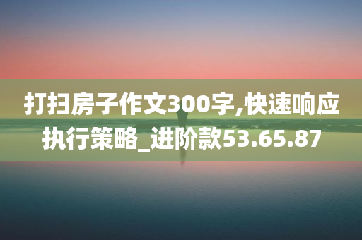 打扫房子作文300字,快速响应执行策略_进阶款53.65.87