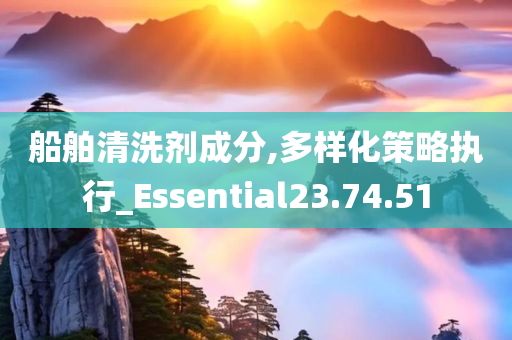 船舶清洗剂成分,多样化策略执行_Essential23.74.51