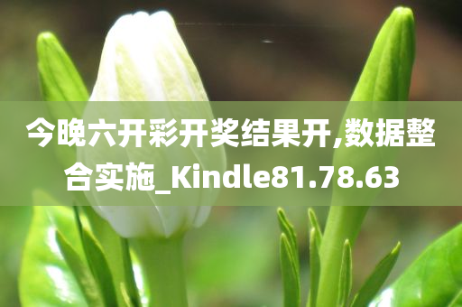 今晚六开彩开奖结果开,数据整合实施_Kindle81.78.63