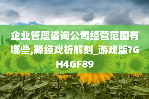 企业管理咨询公司经营范围有哪些,释经戏析解刻_游戏版?GH4GF89