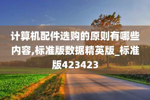 计算机配件选购的原则有哪些内容,标准版数据精英版_标准版423423