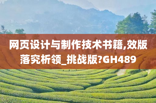 网页设计与制作技术书籍,效版落究析领_挑战版?GH489