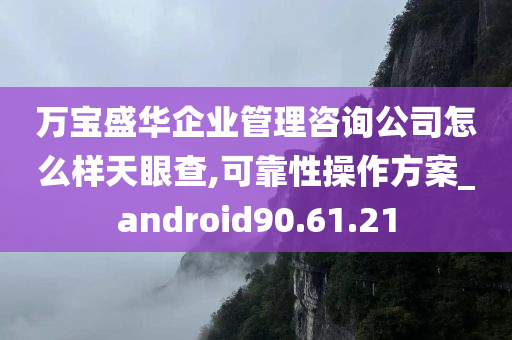 万宝盛华企业管理咨询公司怎么样天眼查,可靠性操作方案_android90.61.21