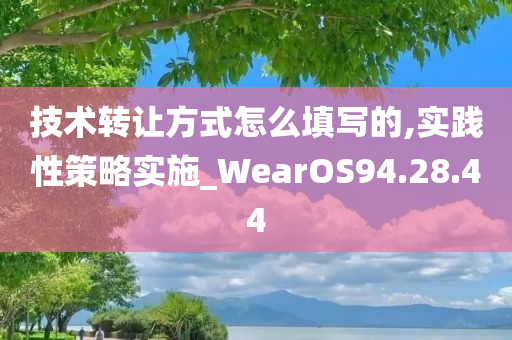 技术转让方式怎么填写的,实践性策略实施_WearOS94.28.44