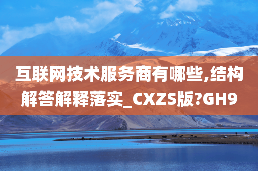 互联网技术服务商有哪些,结构解答解释落实_CXZS版?GH9