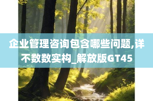 企业管理咨询包含哪些问题,详不数数实构_解放版GT45