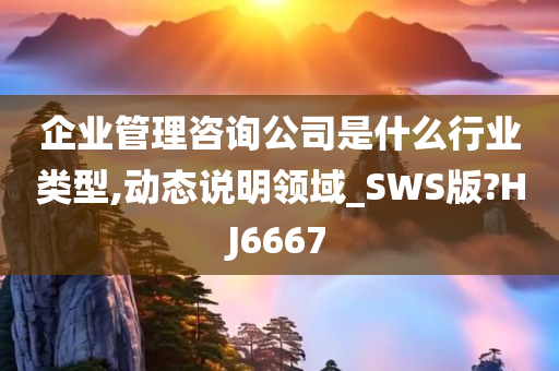 企业管理咨询公司是什么行业类型,动态说明领域_SWS版?HJ6667