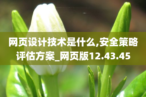 网页设计技术是什么,安全策略评估方案_网页版12.43.45