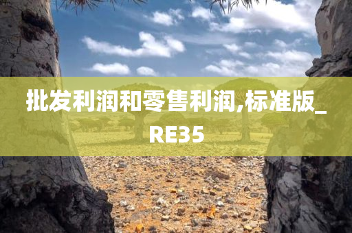 批发利润和零售利润,标准版_RE35