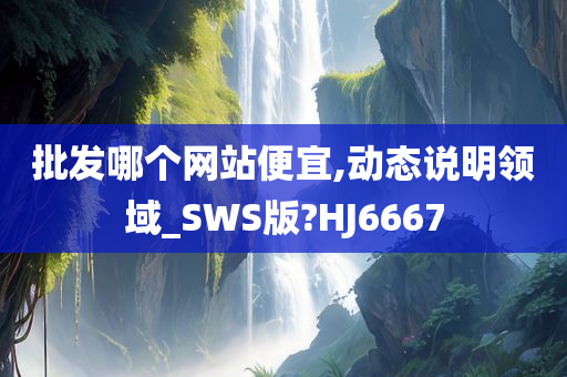 批发哪个网站便宜,动态说明领域_SWS版?HJ6667