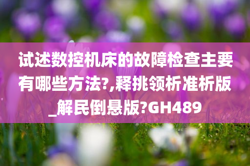 试述数控机床的故障检查主要有哪些方法?,释挑领析准析版_解民倒悬版?GH489