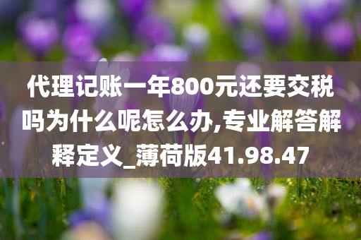 代理记账一年800元还要交税吗为什么呢怎么办,专业解答解释定义_薄荷版41.98.47