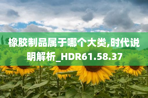 橡胶制品属于哪个大类,时代说明解析_HDR61.58.37