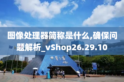 图像处理器简称是什么,确保问题解析_vShop26.29.10