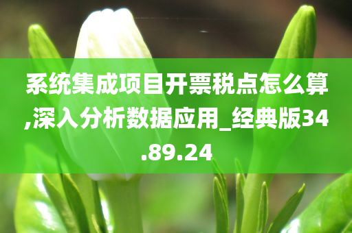 系统集成项目开票税点怎么算,深入分析数据应用_经典版34.89.24