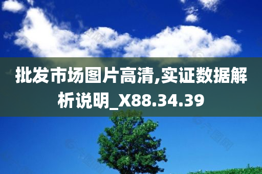 批发市场图片高清,实证数据解析说明_X88.34.39