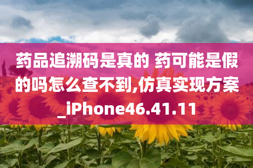 药品追溯码是真的 药可能是假的吗怎么查不到,仿真实现方案_iPhone46.41.11