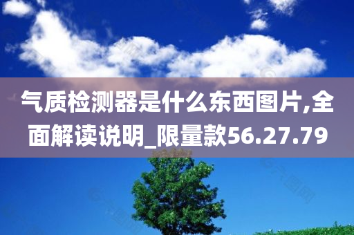 气质检测器是什么东西图片,全面解读说明_限量款56.27.79