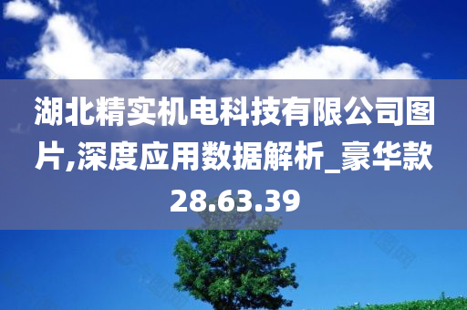 湖北精实机电科技有限公司图片,深度应用数据解析_豪华款28.63.39