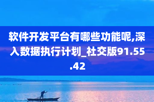 软件开发平台有哪些功能呢,深入数据执行计划_社交版91.55.42