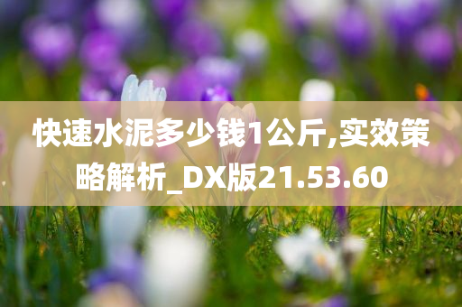 快速水泥多少钱1公斤,实效策略解析_DX版21.53.60