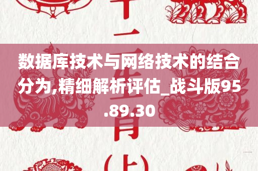 数据库技术与网络技术的结合分为,精细解析评估_战斗版95.89.30