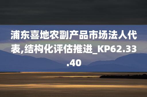 浦东喜地农副产品市场法人代表,结构化评估推进_KP62.33.40