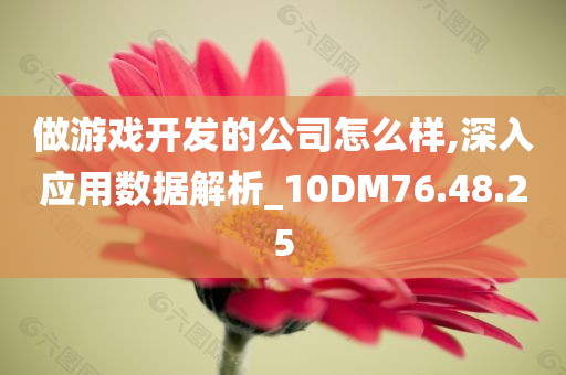 做游戏开发的公司怎么样,深入应用数据解析_10DM76.48.25