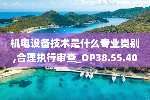 机电设备技术是什么专业类别,合理执行审查_OP38.55.40