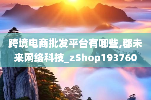 跨境电商批发平台有哪些,郡未来网络科技_zShop193760