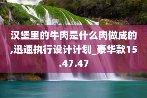 汉堡里的牛肉是什么肉做成的,迅速执行设计计划_豪华款15.47.47